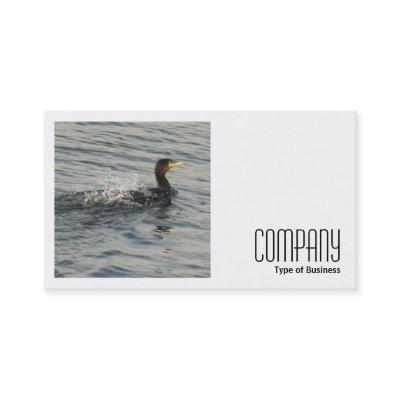 Square Photo (v2) - Cormorant Learning to Swim
