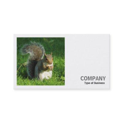 Square Photo (v2) - Grey Squirrel Eating Nuts