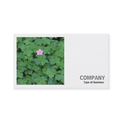 Square Photo (v2) - Lone Geranium