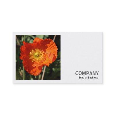 Square Photo (v2) - Welsh Poppy (Orange)