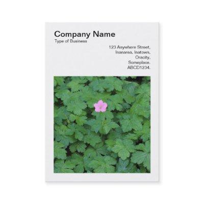 Square Photo (v3) - Lone Geranium