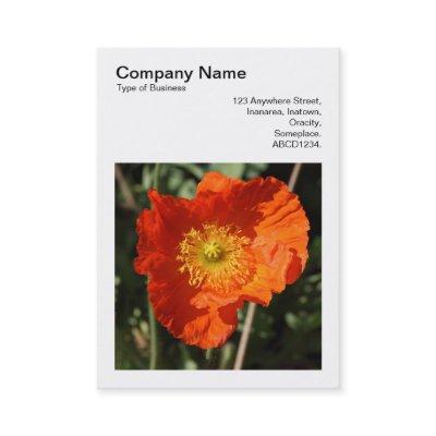 Square Photo (v3) - Welsh Poppy