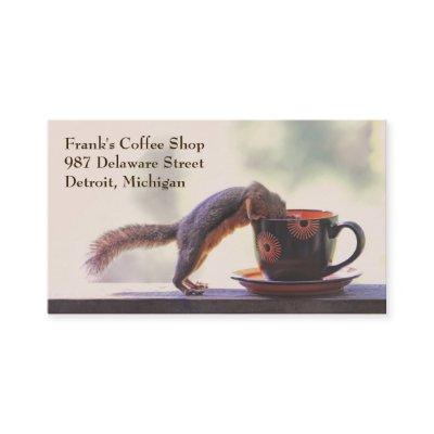 Squirrel Coffee Shop or Cafe