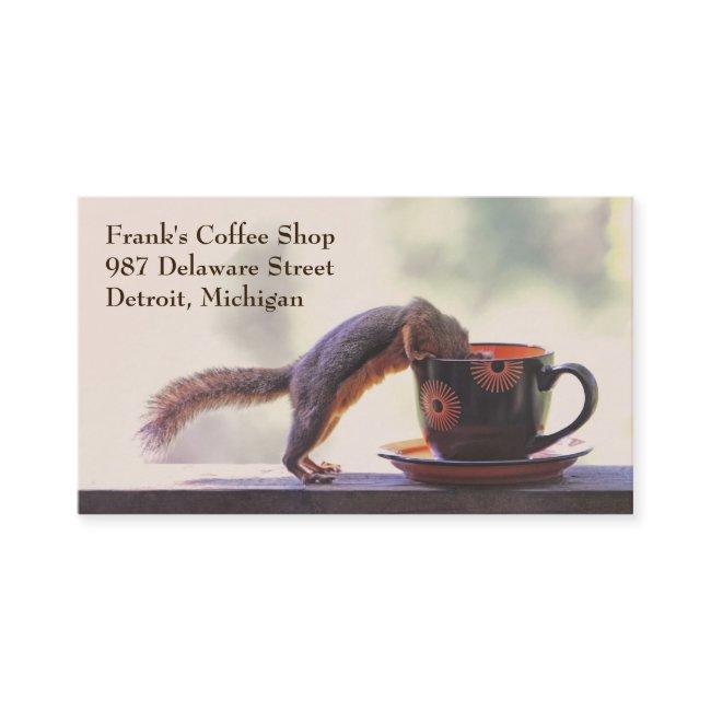 Squirrel Coffee Shop or Cafe