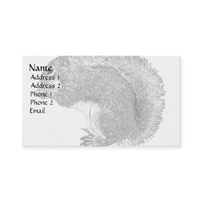 Squirrel Plain