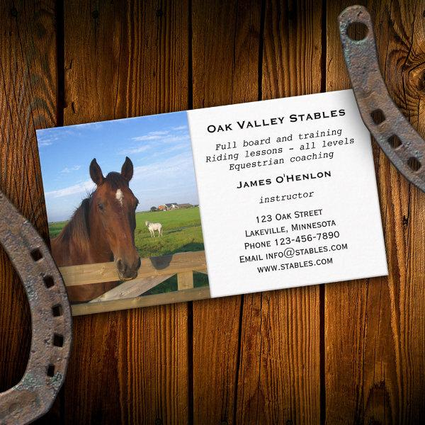 Stables Horse Riding Lessons