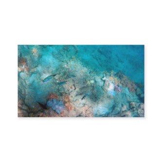 Standard  3.5" x 2.0"