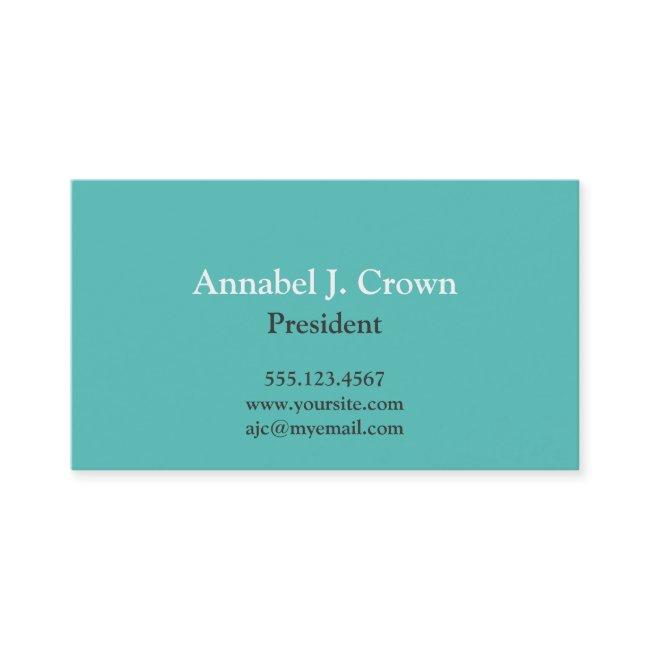 Standard solid teal company logo traditional