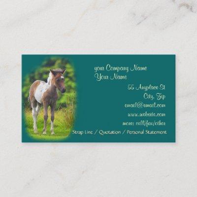 Standing Dartmoor Pony Foal