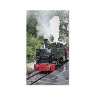 STEAM TRAINS