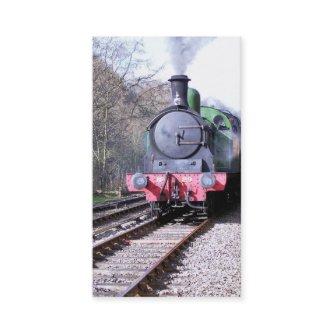 STEAM TRAINS
