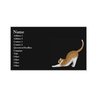 Stretching Orange Tabby Cat