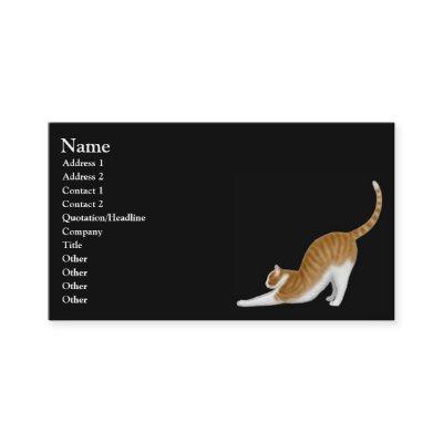 Stretching Orange Tabby Cat
