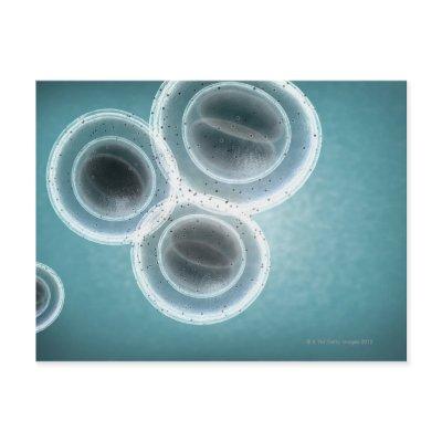Structure of MRSA Postcard