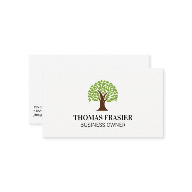Stylized Tree and Leaves | Landscaper