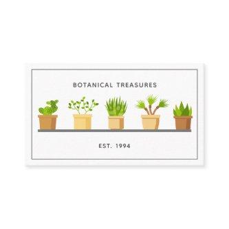 Succulent Plant Nursery Modern Garden Botanist