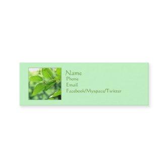 'Summer Leaves with Raindrops' Mini Profile Mini