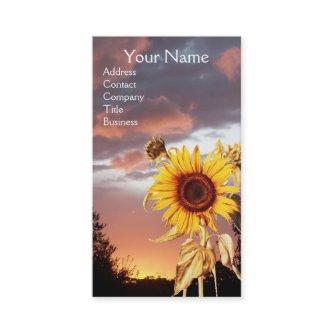 SUNFLOWERS AND PINK SUMMER SUNSET