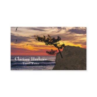Sunset Tree Travel Writer Blogger Magazine