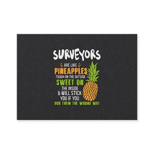Surveyors Are Like Pineapples.