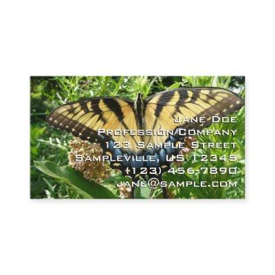 Swallowtail Butterfly II at Shenandoah