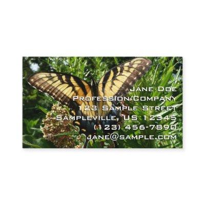 Swallowtail Butterfly III Beautiful Colorful Photo