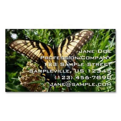 Swallowtail Butterfly III Beautiful Colorful Photo  Magnet