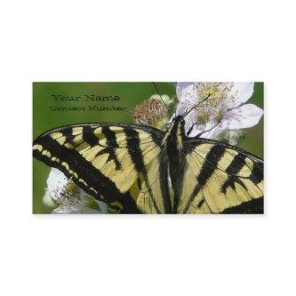 Swallowtail Butterfly  on Flower Blossoms