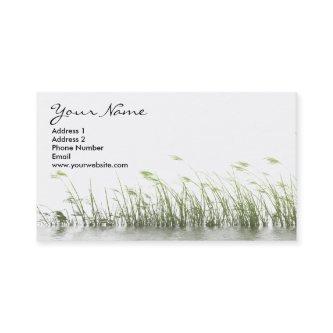 Swamp Grass