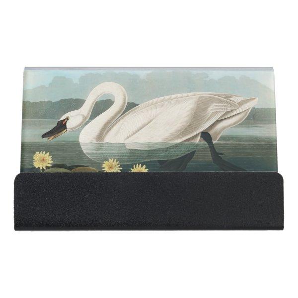 swan audubon bird white water swans desk  holder