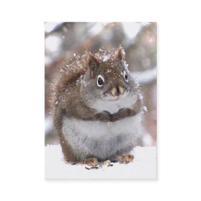 Sweet Squirrel ATC