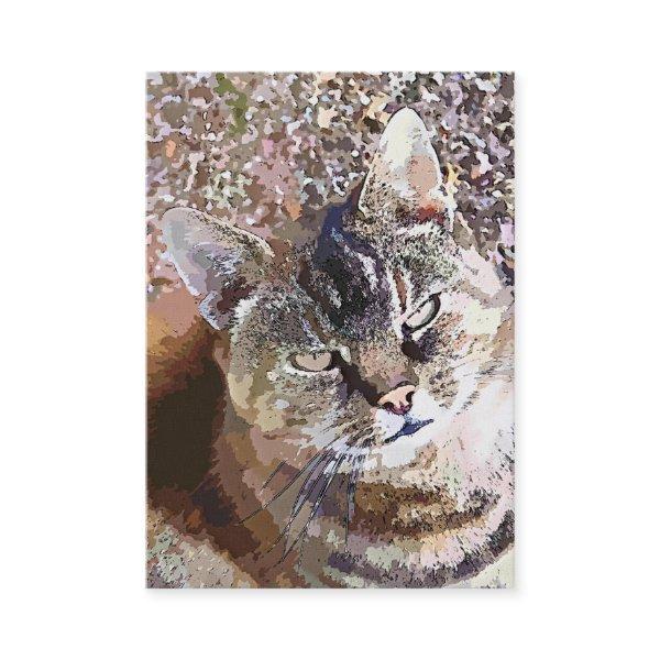 TABBY CAT