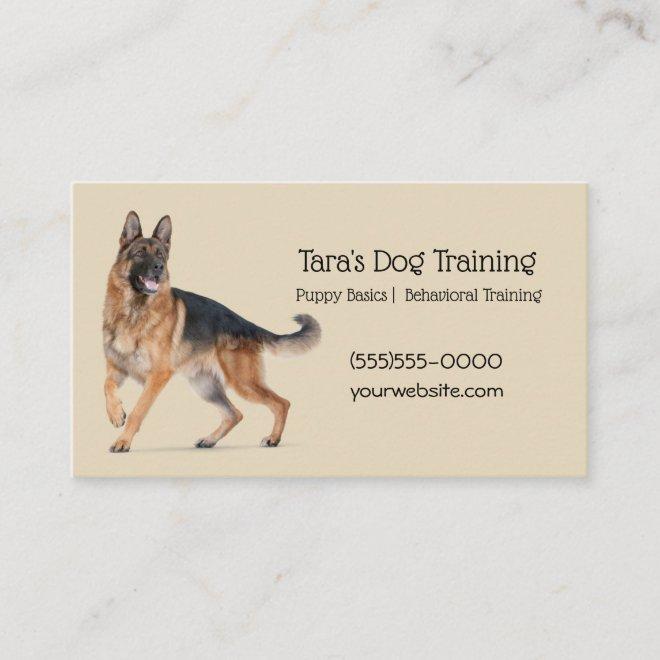 Tan Canine Dog Training Pet