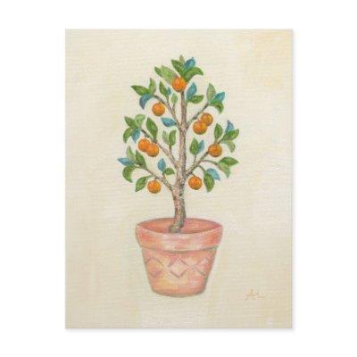 Tangerine Tree postcard