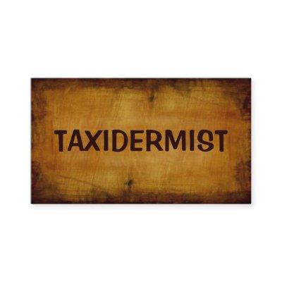 Taxidermist Antique