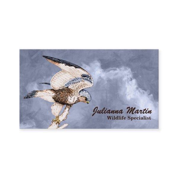TCWC - American Kestrel Illustration