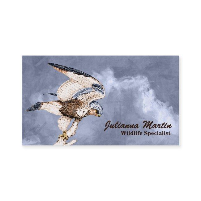 TCWC - American Kestrel Illustration