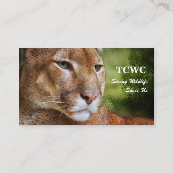TCWC - Logo Mountain Lion |Volunteer