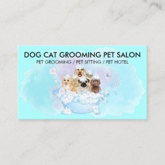 Teal Blue Pink Pet Groomer cats dogs