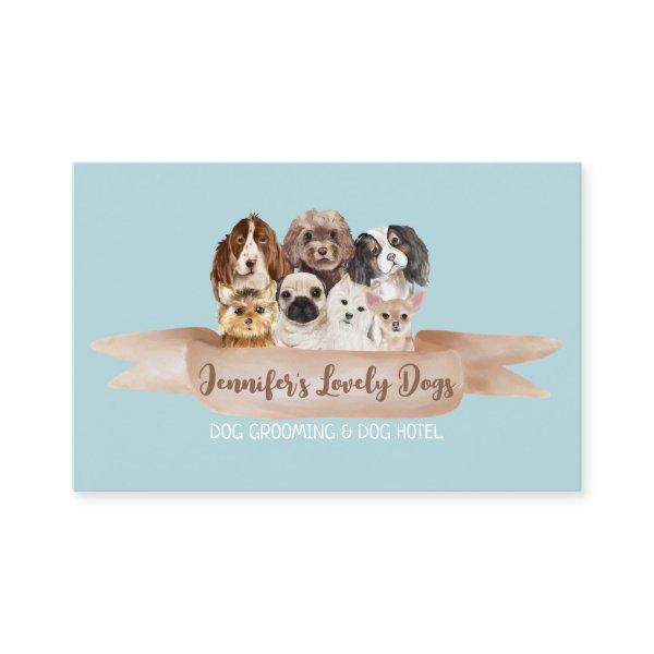 Teal Petsitter Dogs Groomer Small Breeds