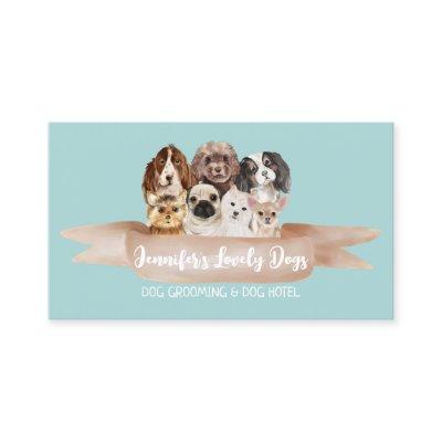 Teal White Small Breeds Dog Groomer