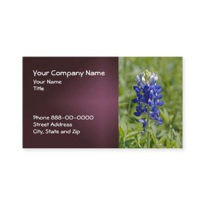 Texas Bluebonnet Wildflower