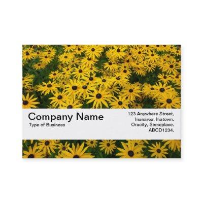 Texture Band V2 - Black-eyed Susans (Rudbeckia Hir