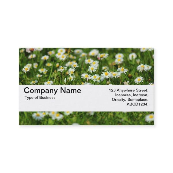 Texture Band V2 - Daisy Meadow