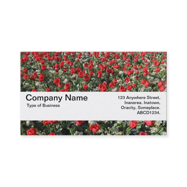 Texture Band V2 - Red Tulips and Primroses