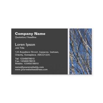 Texture Tone - Silver Birch Branches 02