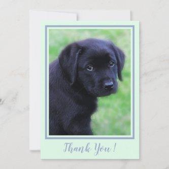 Thank You Black Lab Puppy - Trendy Green Cute Dog