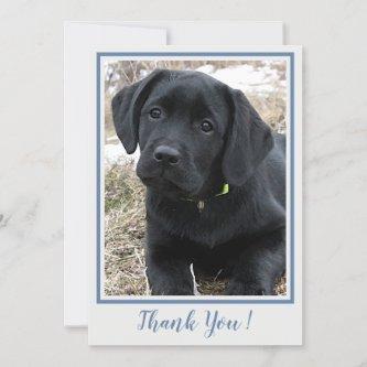 Thank You Black Labrador- Blue Gray Cute Puppy Dog