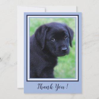 Thank You Black Labrador - Trendy Blue Puppy Dog
