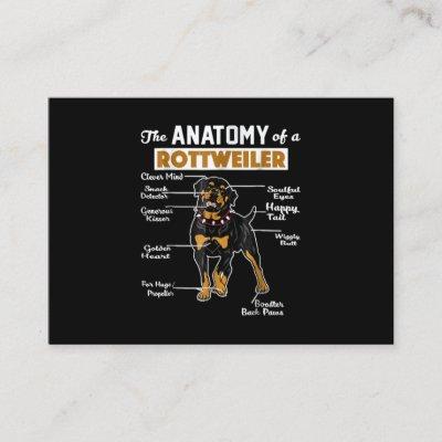 The Anatomy Of A Rottweiler | Cool Dog Lover